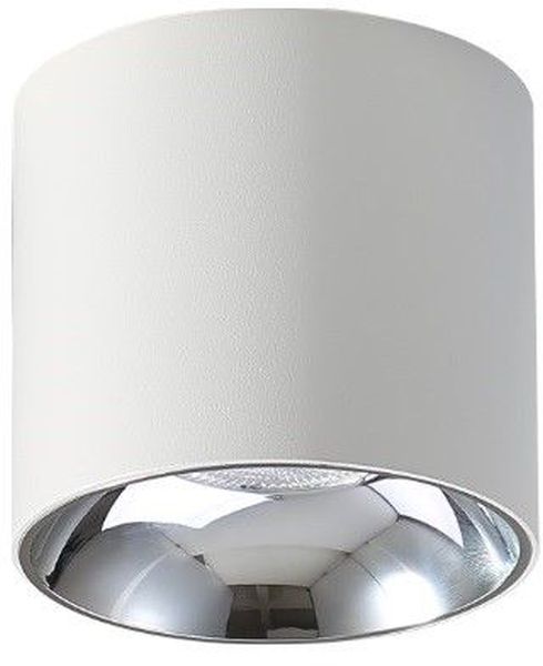 Abigali Vaiolett plafondlamp 1x10 W wit DL10W-NW