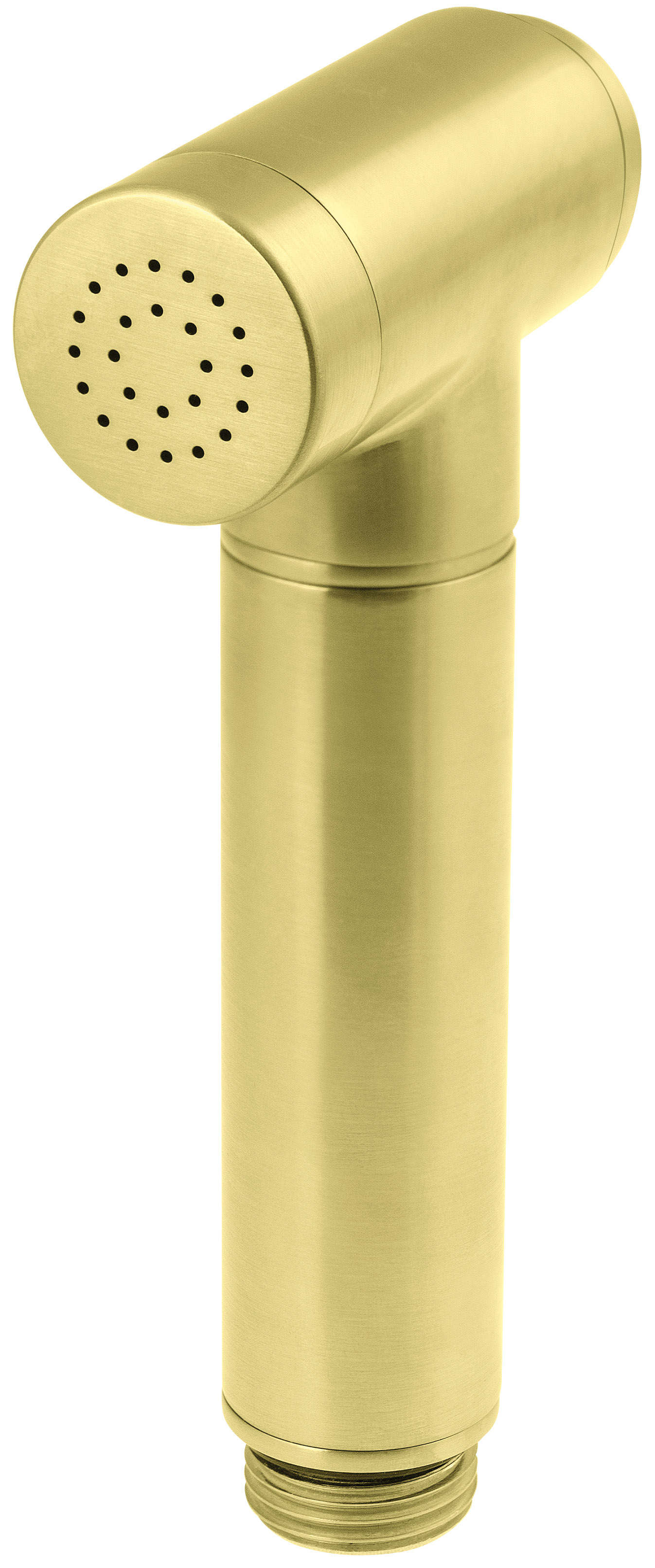 Deante Bidetta bidetsproeier gouden XDCJ4SRS1