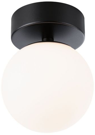 Paulmann Gove plafondlamp 1x5 W zwart 71071