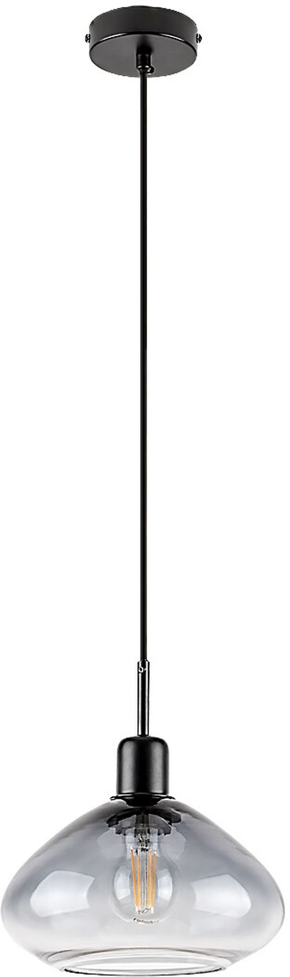 Rabalux Dvora hanglamp 1x40 W zwart 72021