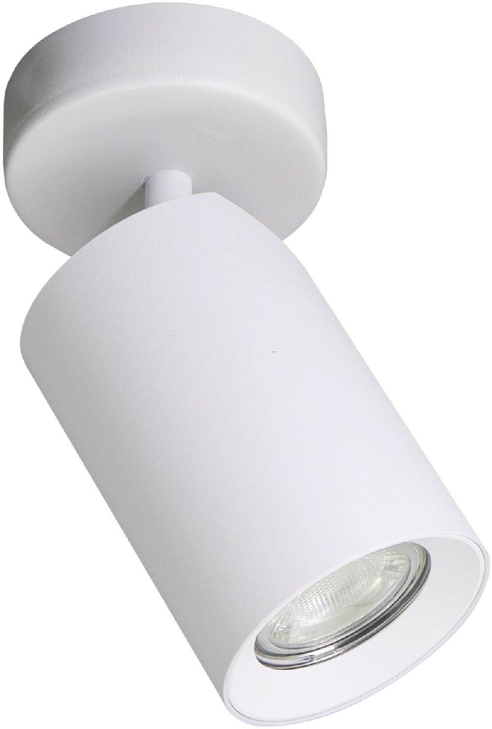 Zuma Line Tore plafondlamp 1x50 W wit TLS006-WH
