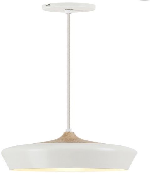 Rabalux Sadie hanglamp 1x60 W wit 2563