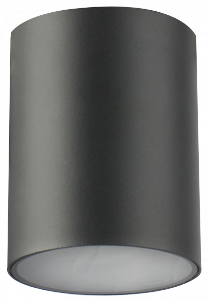 GTV Lento plafondlamp 1x35 W grafiet OS-LEN100OKG-30