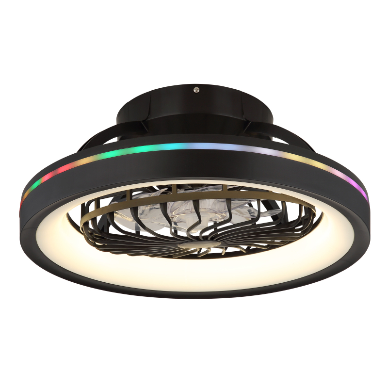 Globo Lighting Deanne plafondlamp 1x40 W zwart 03665