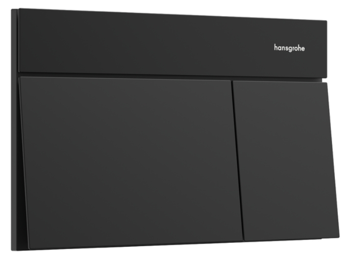 Hansgrohe Element E spoelknop voor het toilet zwart 66003670