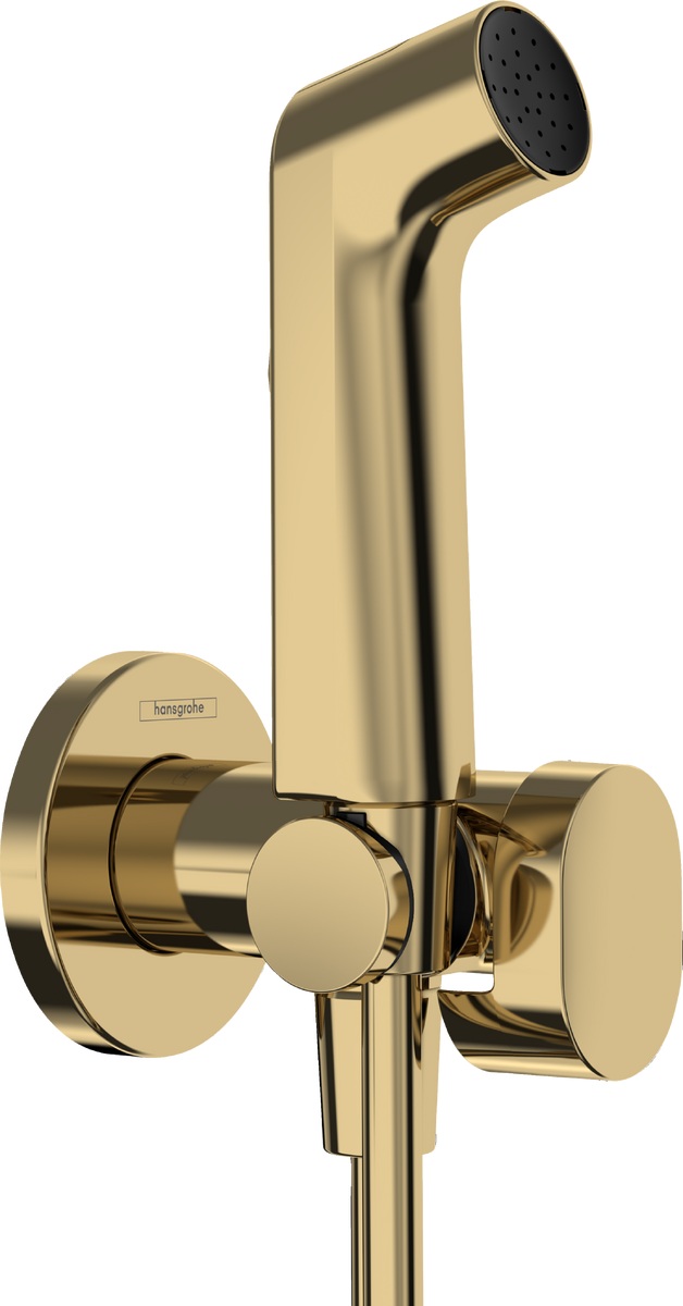 Hansgrohe Bidette bidetkraan met doucheset inbouw gouden 29232990