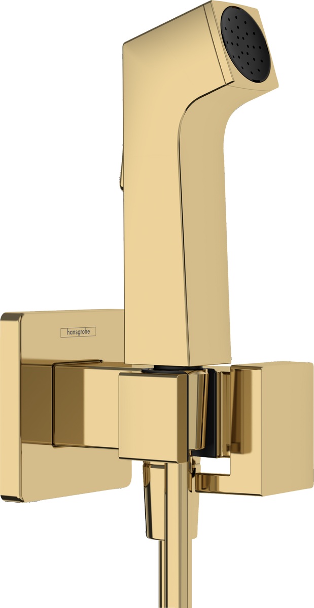 Hansgrohe Bidette bidetkraan met doucheset inbouw gouden 29233990