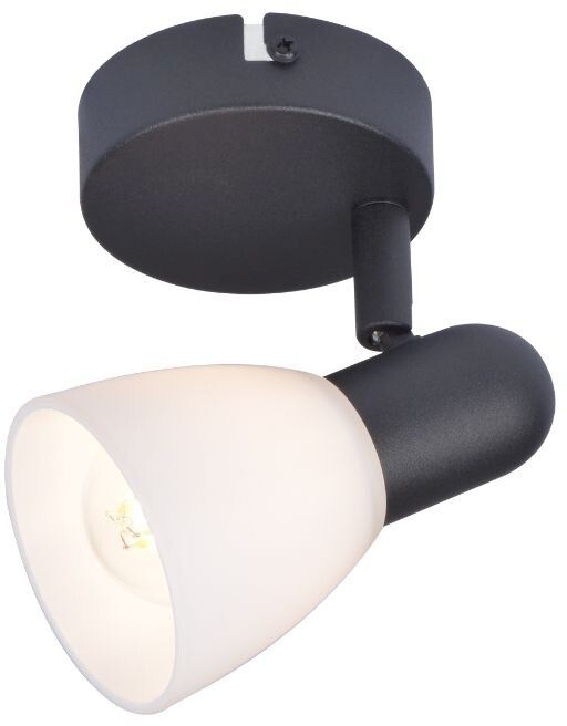 Rabalux Soma plafondlamp 1x40 W zwart 73091
