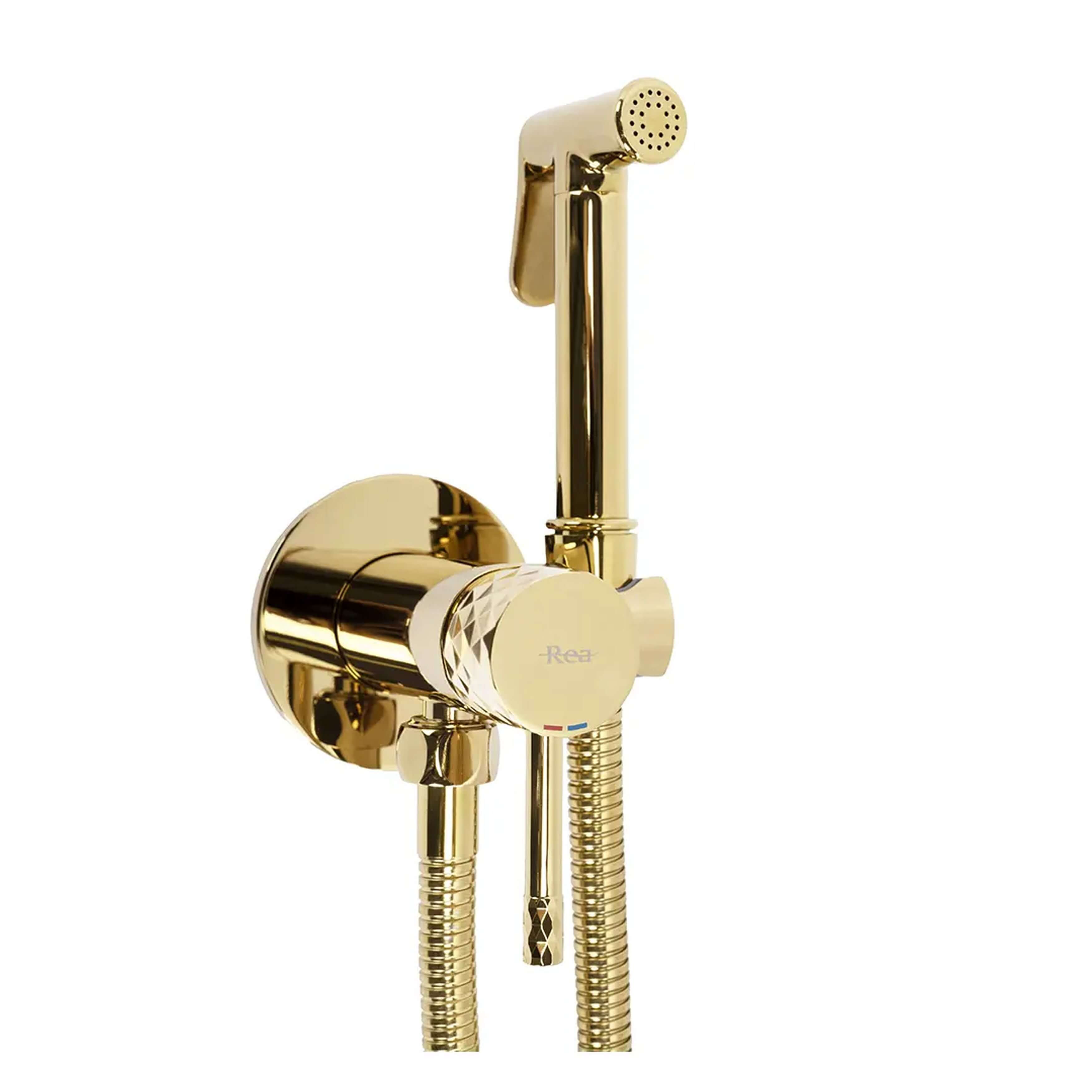 Rea Loop bidetkraan met doucheset wand gouden REA-B8997