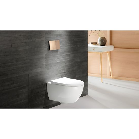 Set toiletpot met softclose toiletbril Geberit Acanto 502.774.00.1, inbouwframe Geberit Duofix 111.320.00.6, 111.815.00.1, 156.050.00.1