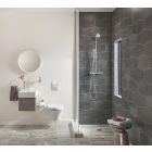 Set toiletborstel Grohe Essentials 40374001, toiletpapierhouder Grohe Essentials 40367001, 40369001, 40365001, 40394001, 40364001