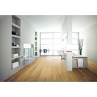 Set toiletpot Grohe Euro Ceramic 39554000, inbouwframe Grohe Rapid SL 38827000