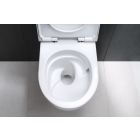 Set toiletpot met softclose toiletbril Geberit Acanto 502.774.00.1, inbouwframe Geberit Duofix 111.320.00.6, 111.815.00.1, 156.050.00.1