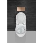 Set toiletpot met softclose toiletbril Geberit Acanto 502.774.00.1, inbouwframe Geberit Duofix 111.320.00.6, 111.815.00.1, 156.050.00.1