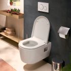 Set toiletpot met softclose toiletbril Hansgrohe EluPura Original S 60288450, inbouwframe Hansgrohe iFrame universal 01022180, 66002700