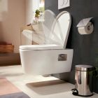 Set toiletpot met softclose toiletbril Hansgrohe EluPura Original S 60288450, inbouwframe Hansgrohe iFrame universal 01022180, 66002700