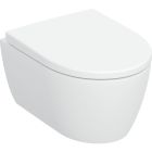 Set toiletpot met softclose toiletbril Geberit iCon 503.048.00.8, inbouwframe Geberit Duofix 111.320.00.6