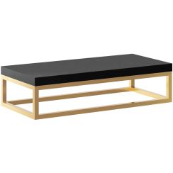 Baltica Design Bente console 75x43x17 cm zwart-gouden 5904107906652