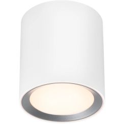 Nordlux Landon plafondlamp 1x6.5 W wit 2110670101
