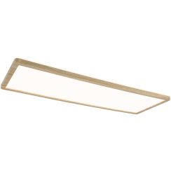 Paulmann Atria plafond 1x22 W wit-hout 71031
