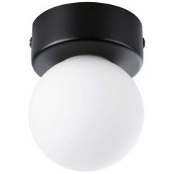 Paulmann Gove plafondlamp 1x20 W zwart 71068