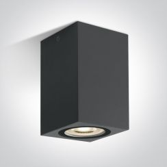 One Light plafondlamp voor buiten 1x6 W antraciet 67142D/AN
