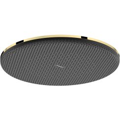 Hansgrohe Raindance Alive S regendouche 30x30 cm rond gouden 24521990