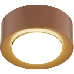 Argon Elora plafond 1x12 W rood 8916