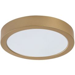 Rabalux Shaun Plus extern plafond 1x24 W gouden 75078