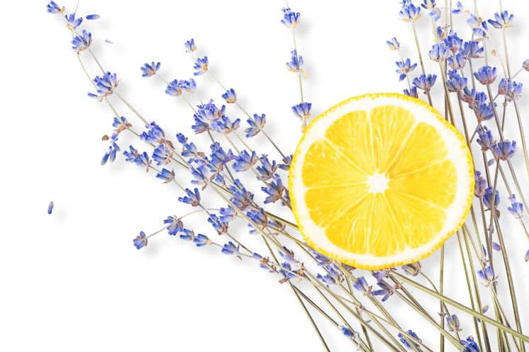 levandule a citron